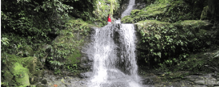 Alto Piedra Waterfall