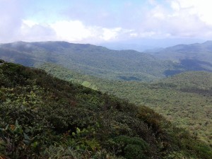 From Cerro Mariposa, looking over Santa Fe National Park, Panama